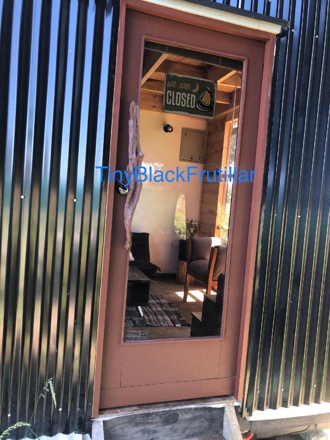 Tiny House, Tiny Black Frutillar