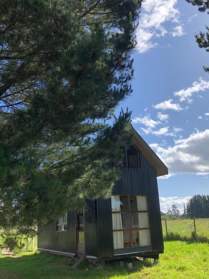Tiny House, Tiny Black *