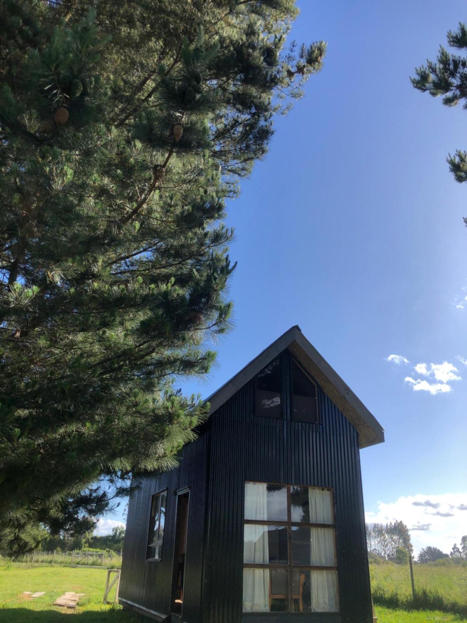 Apartamento Tiny House, Tiny Black Frutillar